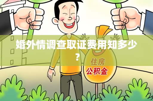长汀婚外情调查取证费用知多少？