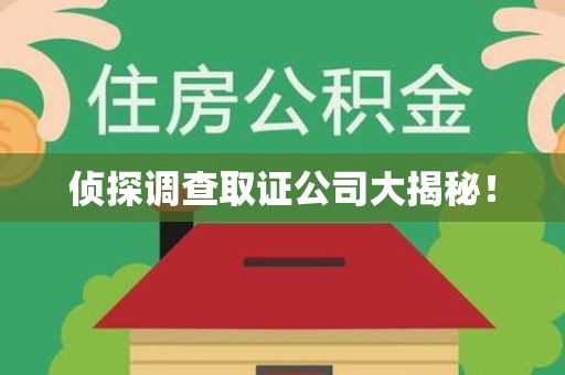 长汀侦探调查取证公司大揭秘！