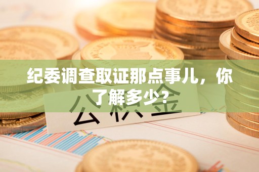 长汀纪委调查取证那点事儿，你了解多少？