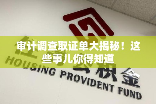 长汀审计调查取证单大揭秘！这些事儿你得知道