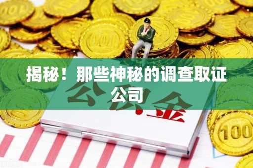 长汀揭秘！那些神秘的调查取证公司