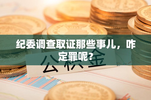长汀纪委调查取证那些事儿，咋定罪呢？