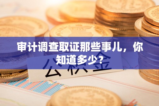 长汀审计调查取证那些事儿，你知道多少？