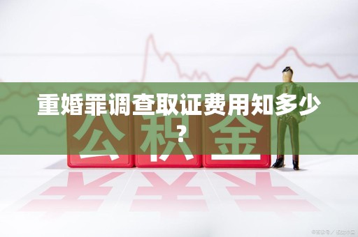 长汀重婚罪调查取证费用知多少？