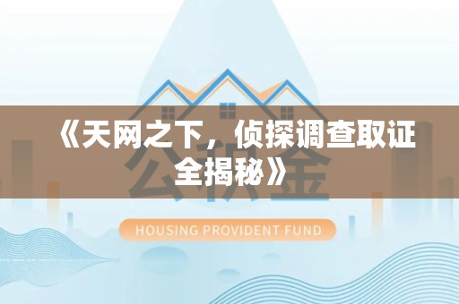 长汀《天网之下，侦探调查取证全揭秘》
