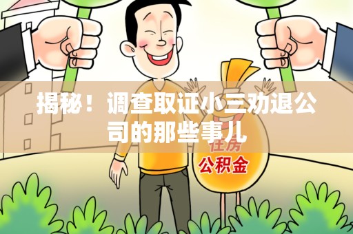 长汀揭秘！调查取证小三劝退公司的那些事儿