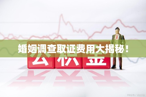 长汀婚姻调查取证费用大揭秘！