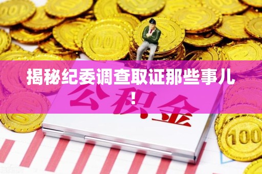 长汀揭秘纪委调查取证那些事儿！
