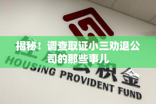 长汀揭秘！调查取证小三劝退公司的那些事儿