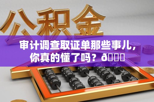 长汀审计调查取证单那些事儿，你真的懂了吗？😎