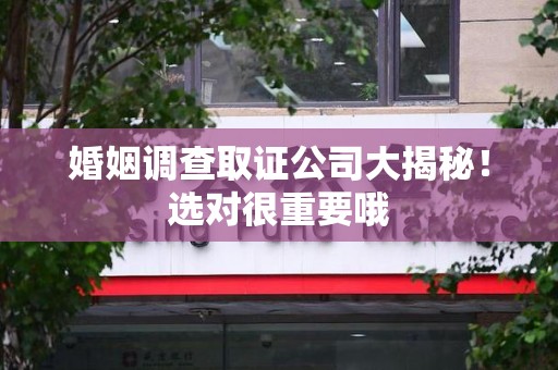 长汀婚姻调查取证公司大揭秘！选对很重要哦